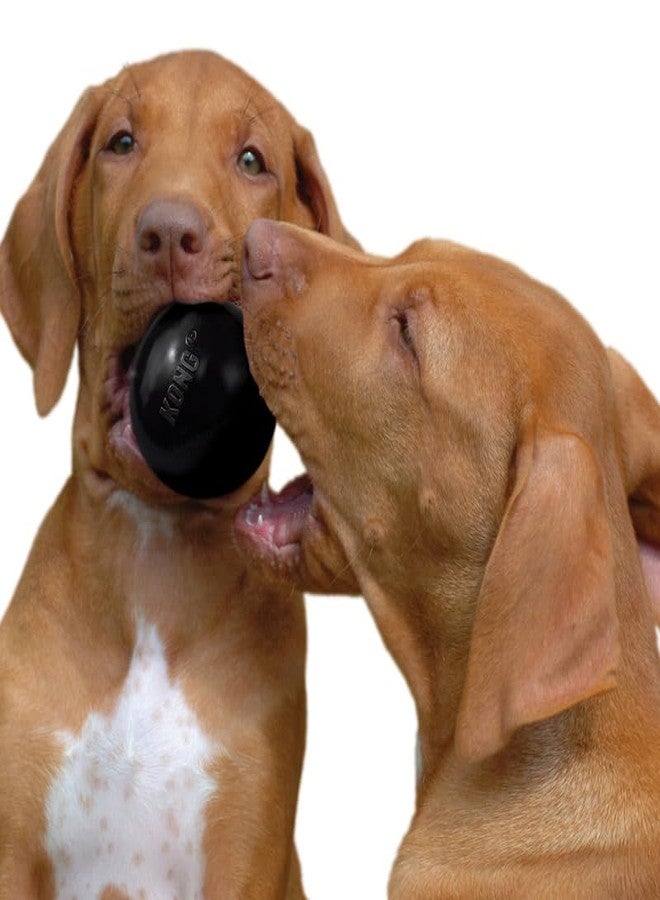 KONG Extreme Ball 2-Pack – Durable Rubber Dog Toy for Power Chewers – Tough Fetch Ball with Hole for Treats – Ideal for Training & Interactive Play – Black (Small) - Image 3